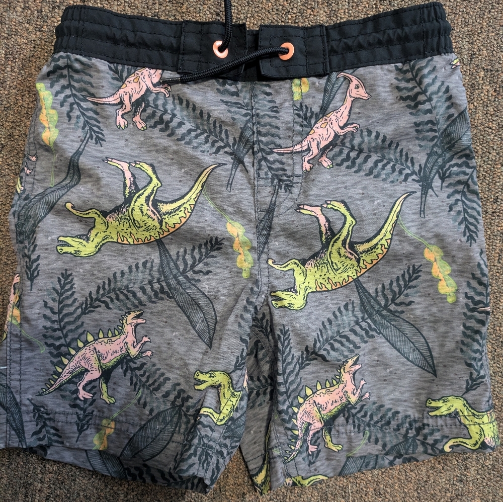 Dino Print Board Shorts